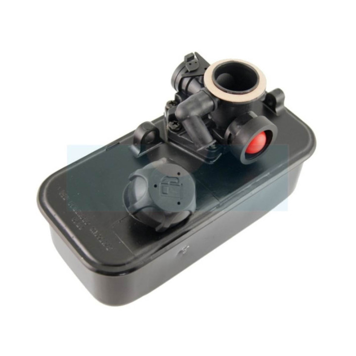 Carburateur + réservoir pour moteur Briggs & Stratton (494406)