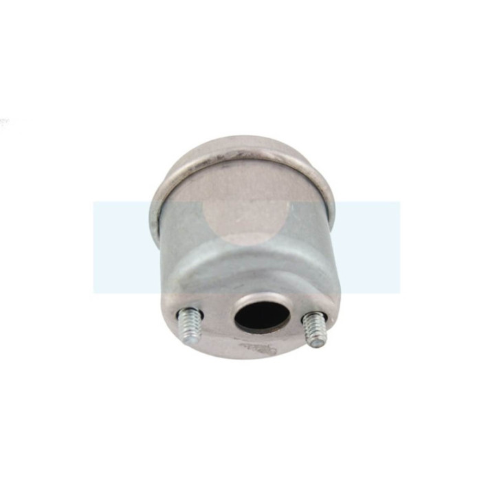 Pot d'échappement pour moteur Tecumseh / Tecnamotor (27181)