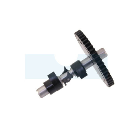 Arbre à cames pour moteur Briggs & Stratton (694039)