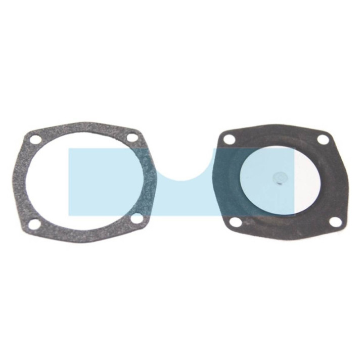 Membranes et joints pour moteur Tecumseh (23910004)