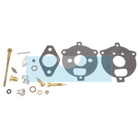 Kit réparation carburateur pour moteur Briggs & Stratton (295938)