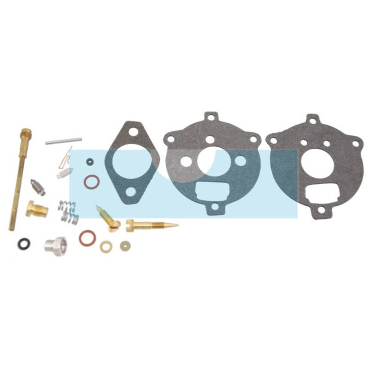 Kit réparation carburateur pour moteur Briggs & Stratton (295938)