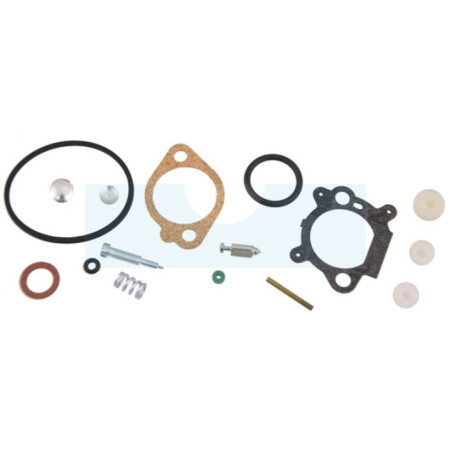 Kit réparation carburateur pour moteur Briggs & Stratton (493762)