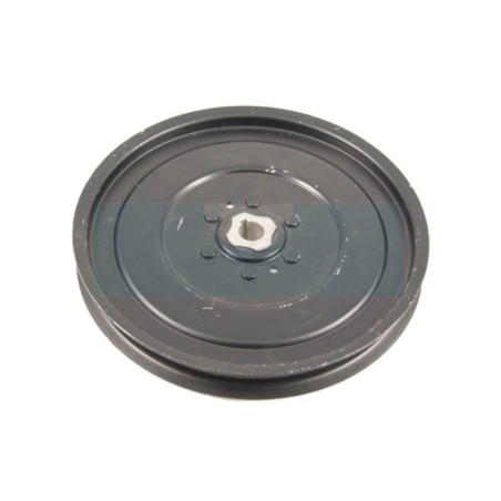 Poulie pour tracteur tondeuse Bestgreen (123385)