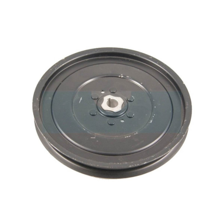 Poulie pour tracteur tondeuse Bestgreen (123385)