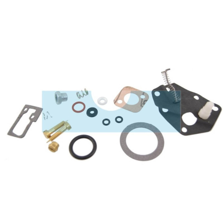 Kit réparation carburateur pour moteur Briggs & Stratton (494622)