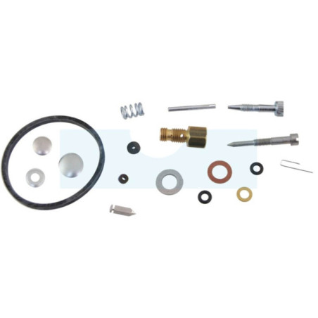 Kit réparation carburateur pour moteur Tecumseh (631584)