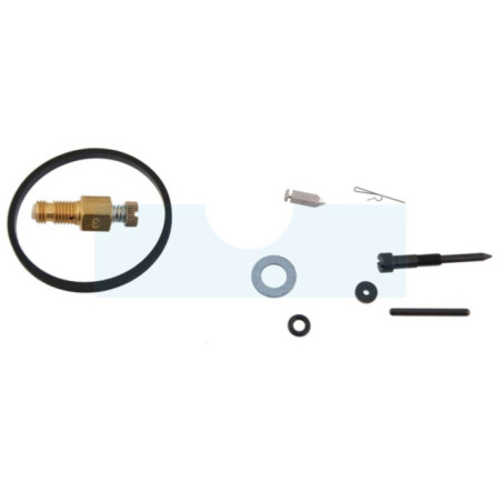 Kit réparation carburateur pour moteur Tecumseh (31840)