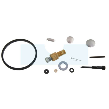 Kit réparation carburateur pour moteur Tecumseh (631029)
