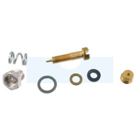 Kit vis de richesse pour moteur Briggs & Stratton (299059)