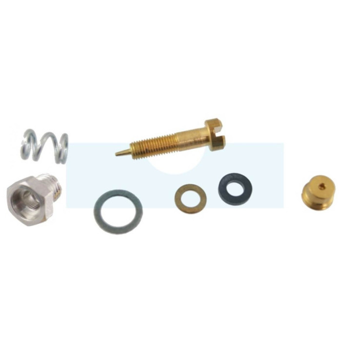 Kit vis de richesse pour moteur Briggs & Stratton (299059)