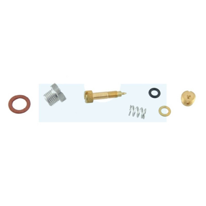 Kit vis de richesse pour moteur Briggs & Stratton (299060)