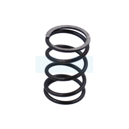 Ressort de soupape pour moteur / tondeuse Honda (14751ZL8000)