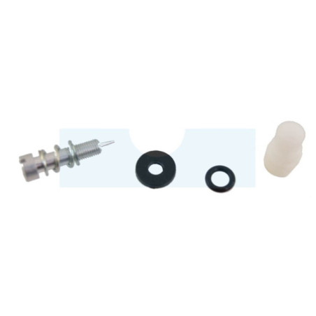 Kit vis de richesse pour moteur Briggs & Stratton (395508)