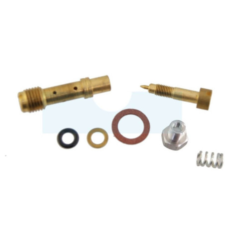 Kit vis de richesse pour moteur Briggs & Stratton (396795)