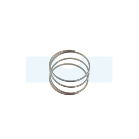 Ressort de membrane pour moteur Briggs & Stratton (691801)