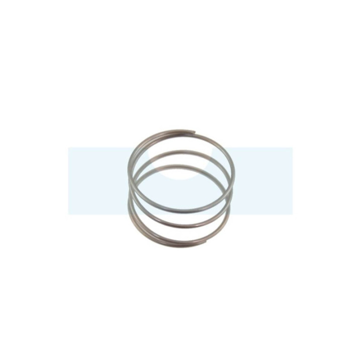 Ressort de membrane pour moteur Briggs & Stratton (691801)