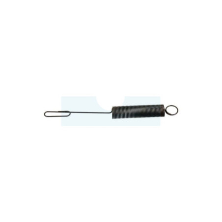 Ressort de régulateur pour moteur Briggs & Stratton (262759)