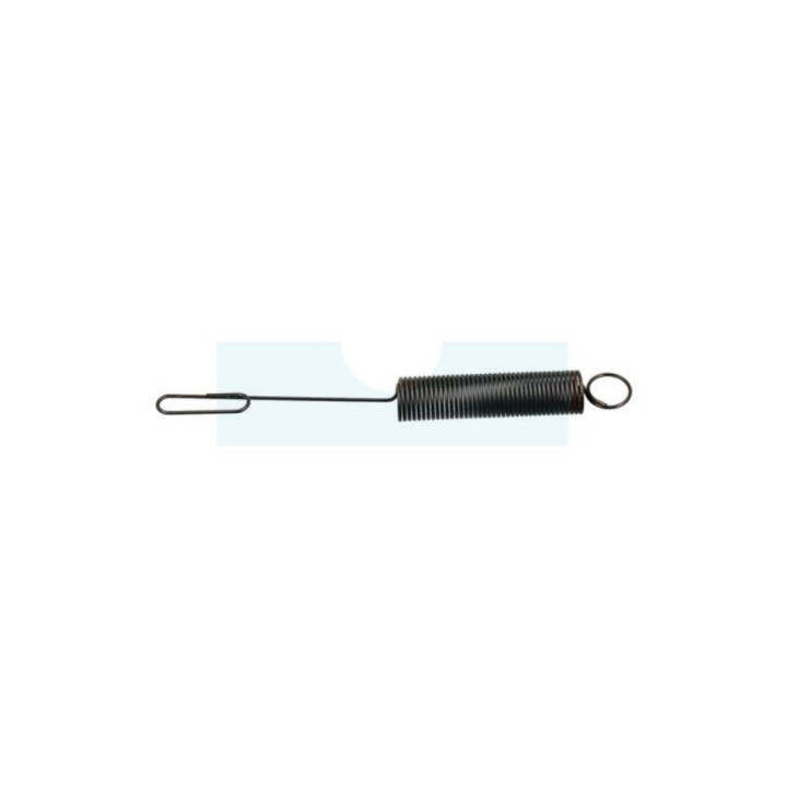 Ressort de régulateur pour moteur Briggs & Stratton (262759)