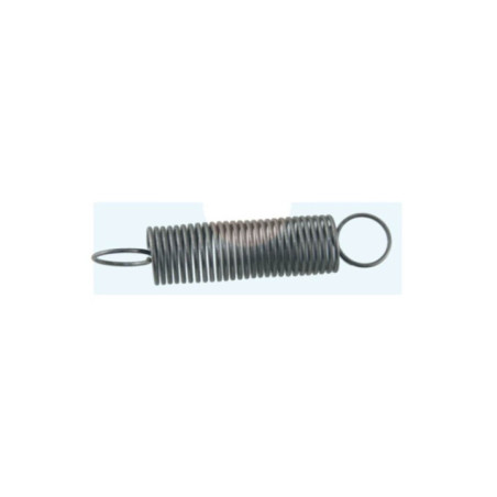 Ressort de régulateur pour moteur Briggs & Stratton (260596)