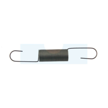 Ressort de régulateur pour moteur Briggs & Stratton (691599)