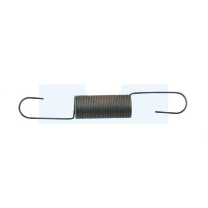 Ressort de régulateur pour moteur Briggs & Stratton (691599)