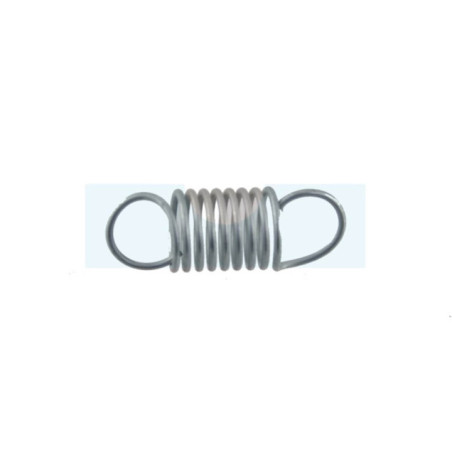 Ressort de régulateur pour moteur Briggs & Stratton (690480)