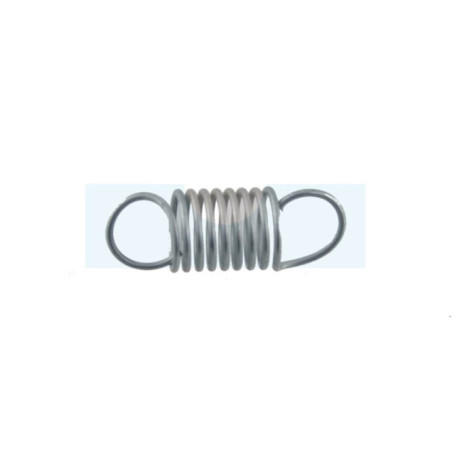 Ressort de régulateur pour moteur Briggs & Stratton (691278)