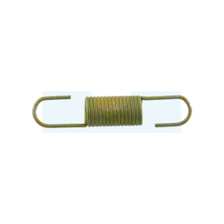 Ressort de régulateur pour moteur Briggs & Stratton (691832)