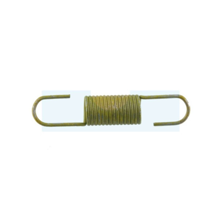Ressort de régulateur pour moteur Briggs & Stratton (691832)