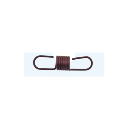 Ressort de régulateur pour moteur Briggs & Stratton (805460)