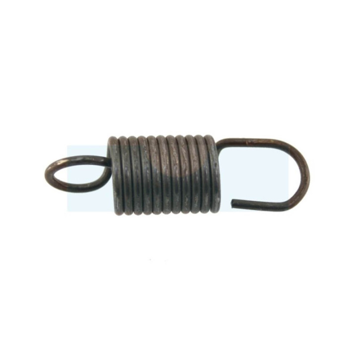 Ressort de régulateur pour moteur Briggs & Stratton (690558)