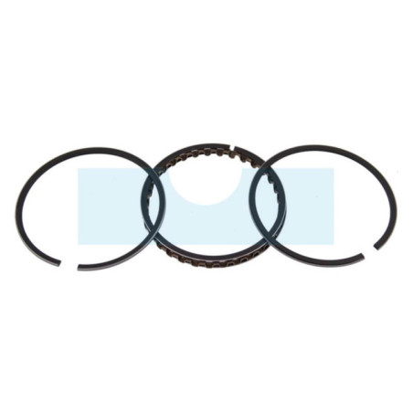 Kit segment pour moteur Briggs & Stratton (391669)