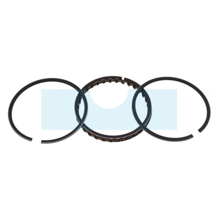Kit segment pour moteur Briggs & Stratton (391669)