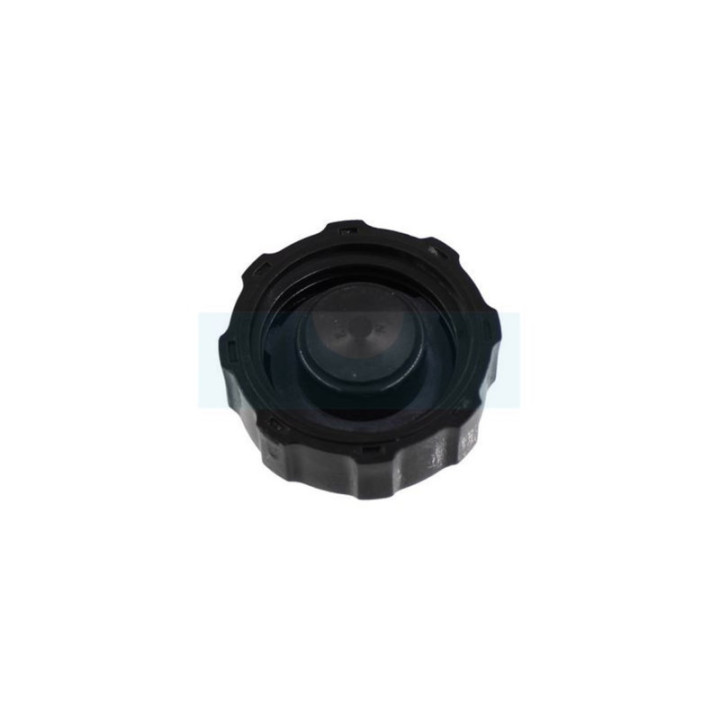 Bouchon de réservoir pour Robin (0481310300)