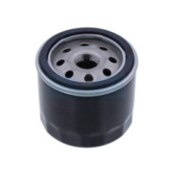 Filtre à huile pour moteur Kohler (1205001)