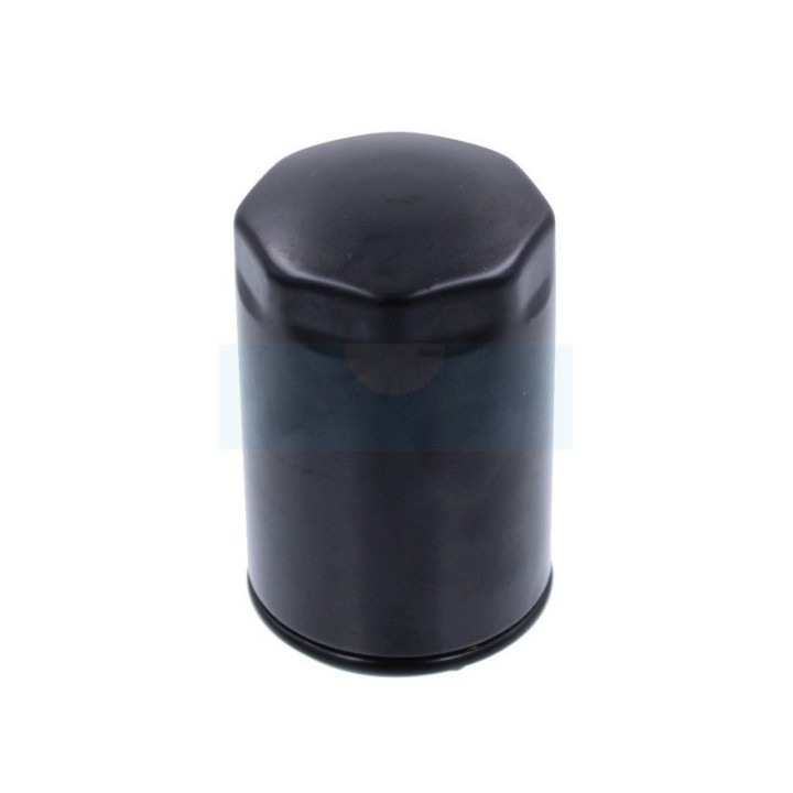 Filtre à huile pour moteur Lombardini (2175036)