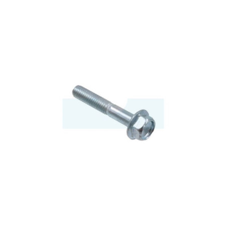 Vis pour tondeuse Dolmar (671006077)