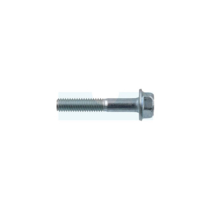 Vis pour tondeuse Dolmar (671006077)