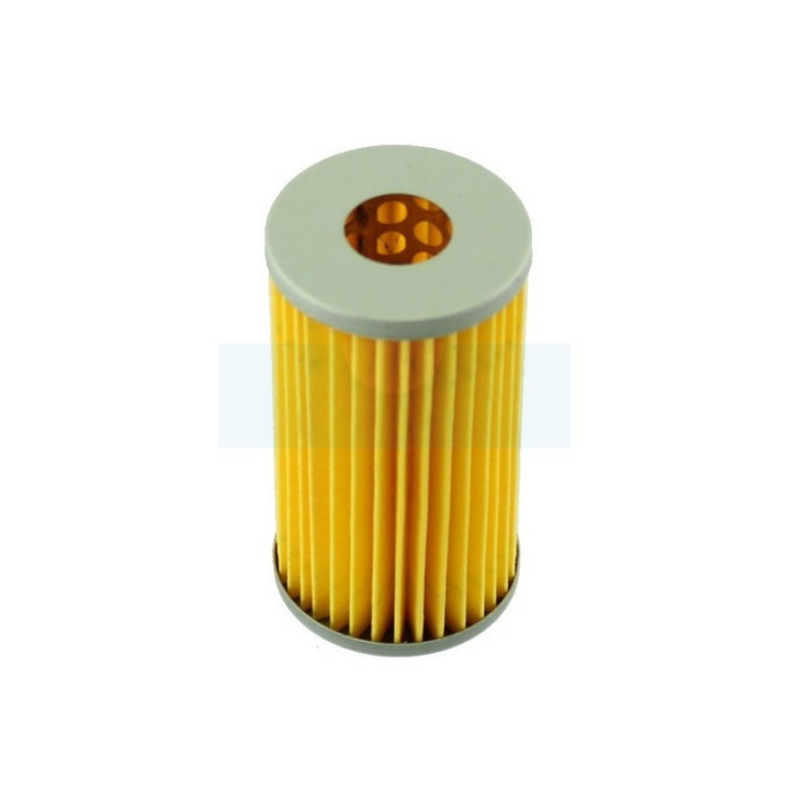 Filtre à carburant pour moteur Yanmar (12910055650)