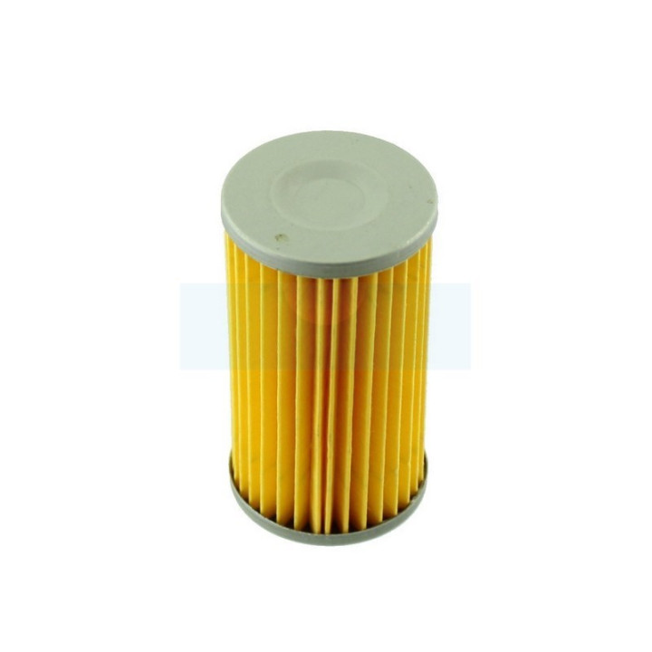 Filtre à carburant pour moteur Yanmar (12910055650)