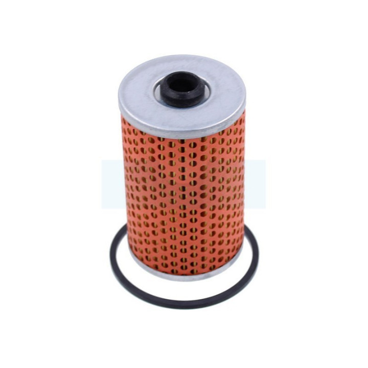 Filtre à carburant Diesel pour moteur Lombardini (2175014)