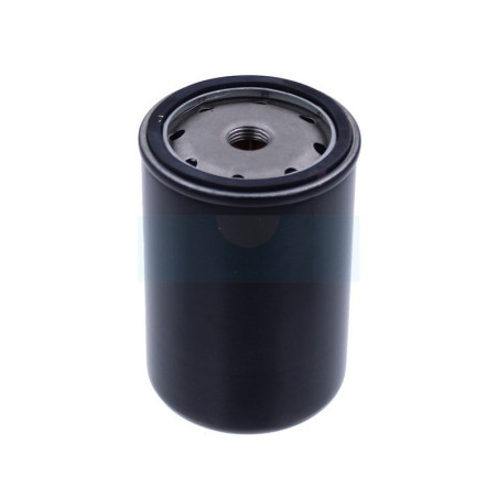 Filtre à carburant Diesel pour moteur Lombardini (278217546)