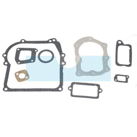 Pochette de joint pour moteur Briggs & Stratton (298989)