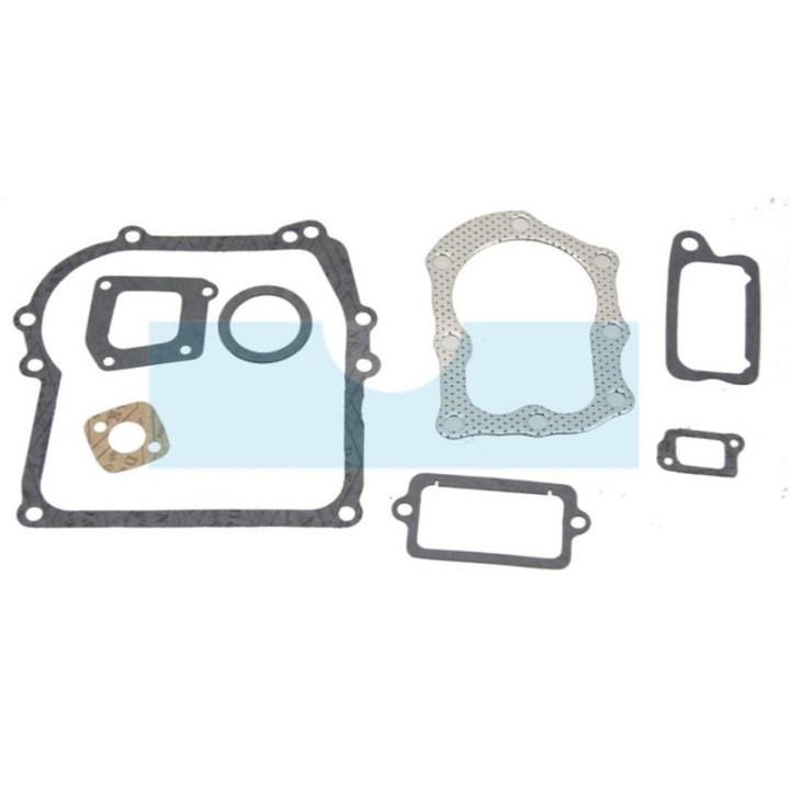 Pochette de joint pour moteur Briggs & Stratton (298989)
