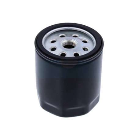 Filtre à carburant Diesel pour moteur Lombardini (1073730073)