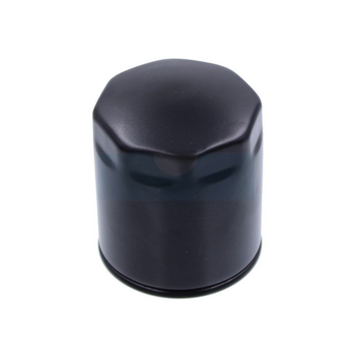 Filtre à carburant Diesel pour moteur Lombardini (1073730073)