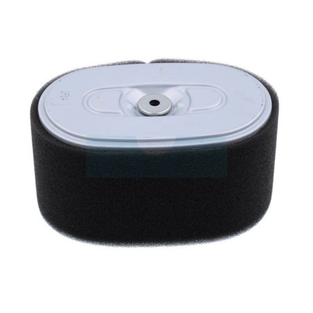 Filtre à air pour moteur Honda (17210Z2E000)