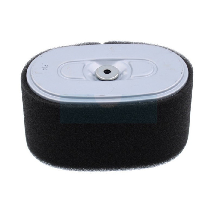 Filtre à air pour moteur Honda (17210Z2E000)