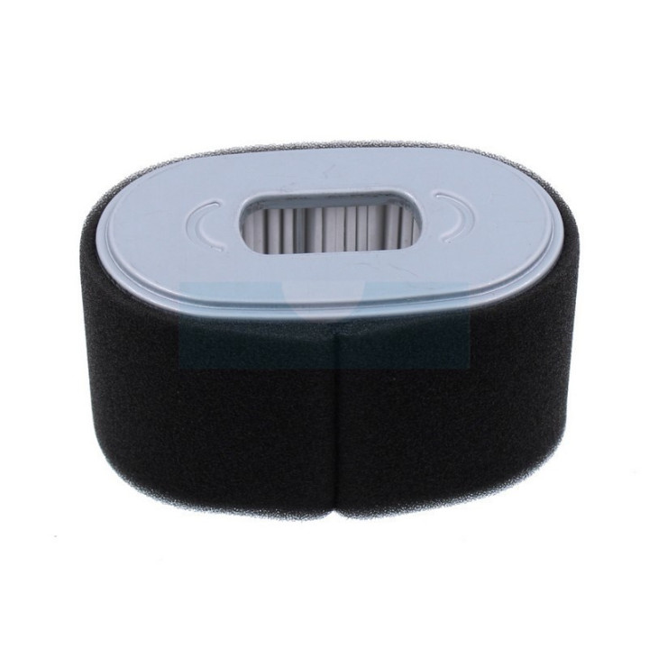 Filtre à air pour moteur Honda (17210Z2E000)